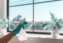 ניקיון לבית חדש ופוליש קריסטל: המדריך המלא