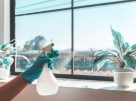 ניקיון לבית חדש ופוליש קריסטל: המדריך המלא