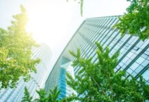 פתרונות זכוכית למשרד: הגבהות, תקרות ודלתות