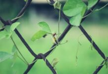 פתרונות גידור ובטיחות מתקדמים לתשתיות ואתרי בנייה