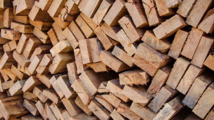 Credit Canva.com
